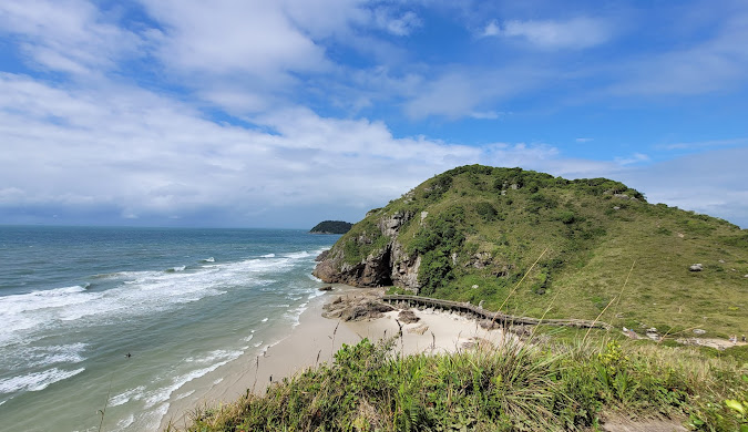 Trilha ecológica entre árvores na Ilha do Mel
